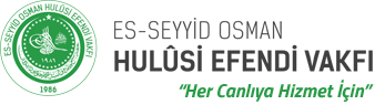 Esseyid Osman Hulusi Efendi Vakfı